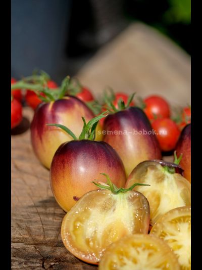 Томат Золотая Чалма, 10 шт