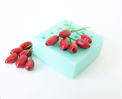 Набор молдов "Облепиха+Барбарис+Жимолость"