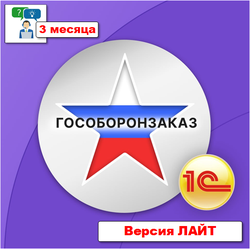 Поддержка: Консультации и сопровождение ЛАЙТ - 3 месяца