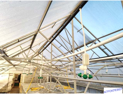 Подвес белый с микродождевателем / фоггером (6мм Н), с клапаном "антикапля", 50 см (зеленый) 26,0 л/ч