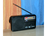 FM радиоприемник Городовичок
