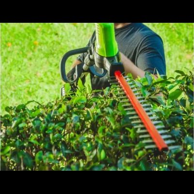 Кусторез штанговый Greenworks GD60PHT61