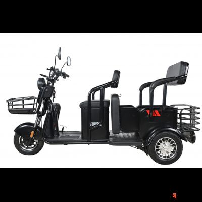 Пассажирский трицикл WHITE SIBERIA SIBTRIKE R 2000W