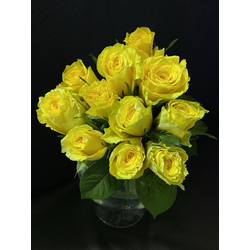 Роза Кения 11 шт