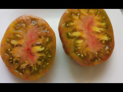 Томат Мятные полосы (Dwarf Peppermint Stripes)