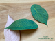Молд «Лист вишни #4» ( ELF_decor)