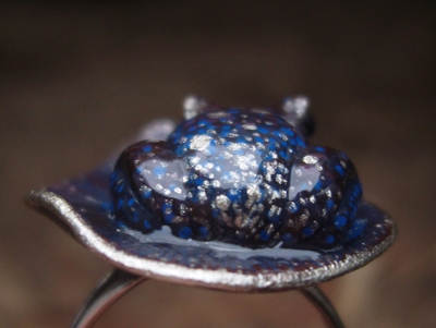 Космическое фэнтези-кольцо с лягушкой "Ведунья Алькора" с родолитом