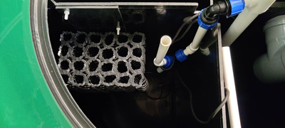 Блок биологической загрузки - ЕВРОЛОС