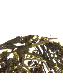 Sencha Senpai / Сенча Сенпай