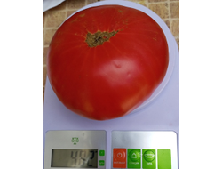 Томат Розовый из Пералеса (Rosa de Perales) Испания