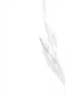 Фиеста бел. верх 01 250х400