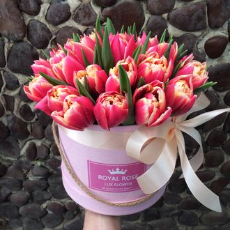 35 пионовидных тюльпанов в коробке