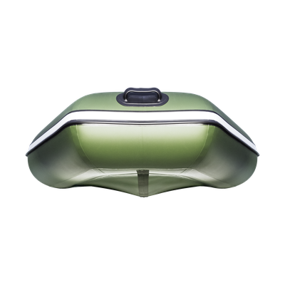 Моторная лодка Аква 2800 слань-книжка киль зеленая