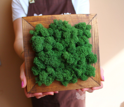 Живая Эко-Картина 1069