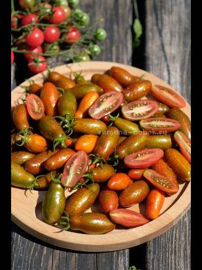 Томат Оливетта полосатая (Olivette Striée), 10 шт