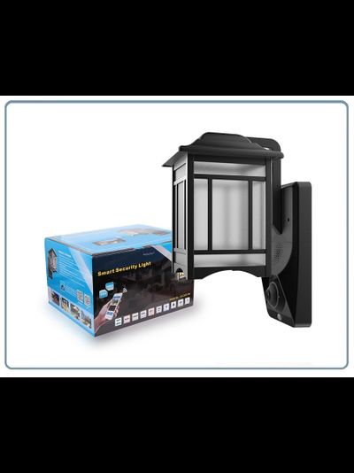 Уличная WiFi/LAN охранная видеокамера + фонарь с аудио каналом (дуплекс), с DVR. Full HD (Homsca Light)