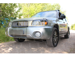 Защита радиатора Subaru Forester II 2002-2005 chrome низ