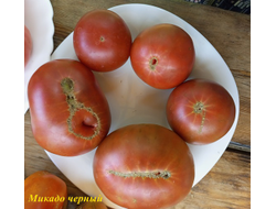 Томат Микадо черный