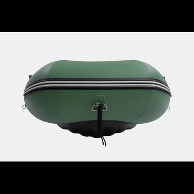 Моторная лодка GLADIATOR E380PRO зеленый