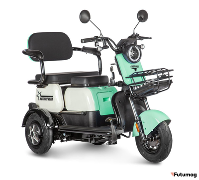 Электротрицикл Rutrike Вега зеленый