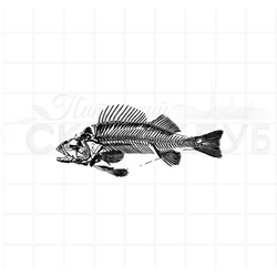 Штамп для скрапбукинга скелет рыбы
