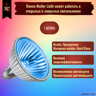 Muller Licht HLRG-550F/Blau EXN/C 50w 36° 12v GU5.3