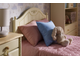 Кровать детская Айно 5 из массива сосны 80 х 150/160 см