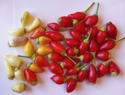 Перец острый Barra do Ribeiro