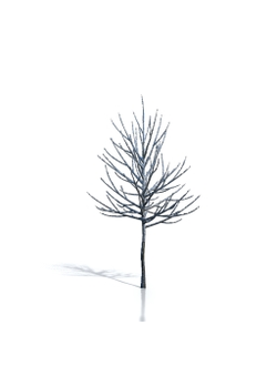 Billboards Дерево зимнее_03