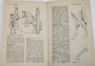 Гуревич Д. Словарь-справочник по коневодству и конному спорту. М.: Росагропромиздат. 1991г.