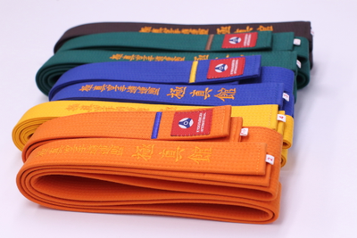 APIKA пояс для каратэ с вышивкой KYOKUSHINKAN
