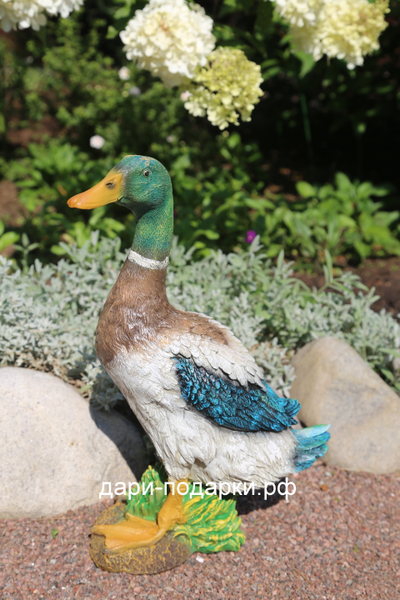 Селезень - красавец 40*28см полистоун Россия 1675/012564*