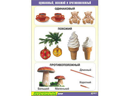 Таблица демонстрационная "Одинаковый, похожий и противоположный" (винил 70x100)