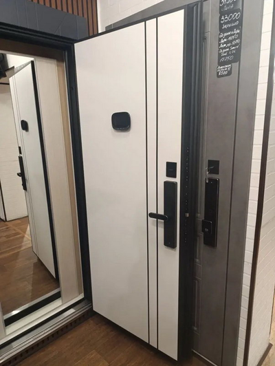 Стальная дверь   Forest (биометрический замок Smart lock R06)