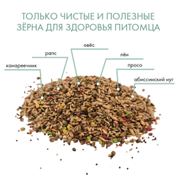 Fiory (Фиори) Classic корм для канареек, 400 г