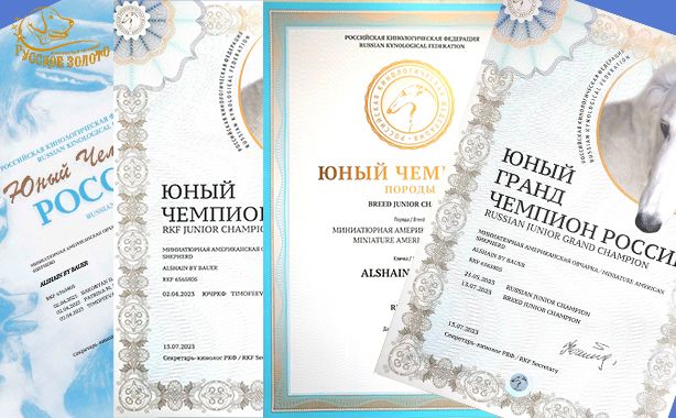 Аля получила свои заслуженные дипломы в юниорском классе