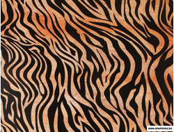 Бумага упаковочная глянцевая «Тигровый принт» 70 х 100 см