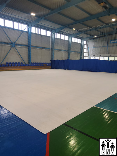 Ковер для художественной гимнастики соревновательный 13 x 13 x 0.008 м DNN