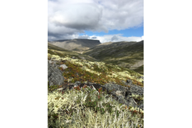 Лето | Маршрут «Знакомство с Хибинами»