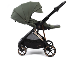 Коляска прогулочная Peppy Amici (Green) рама Gold