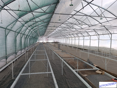 Система тумана низкого давления (480м2) 9,6 х 50м расход 5,2м3/ч (без ёмкости)