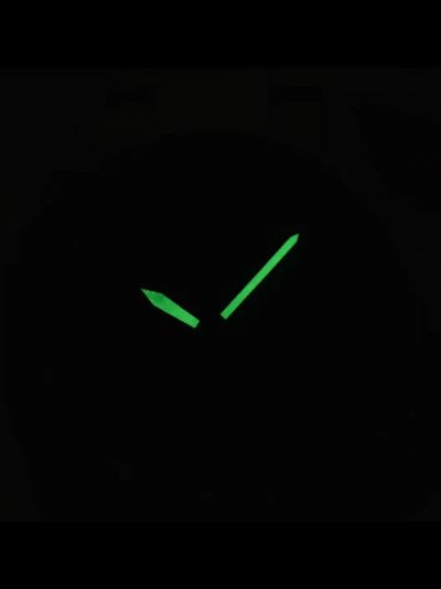 Часы Casio MTP-E725L-1A