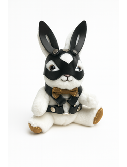 152 БДСМ зайчик в маске