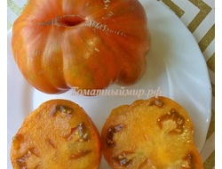 Томат Kozula 179 (Zebra Zolta /Volta , Польша)