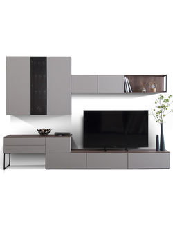 АСТРА гостиная (модульная)