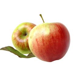 Яблоко летнее Гала
