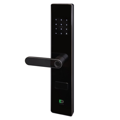 Биометрический врезной дверной замок Smart lock R06 с нажимной ручкой