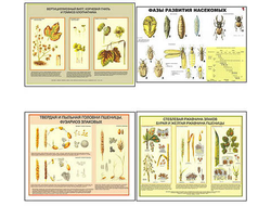 Плакаты ПРОФТЕХ "Вредители и болезни с/х культур и меры борьбы с ними" (11 пл, винил, 70х100)