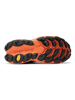 New NB Fresh Foam X More V3 TDSnew