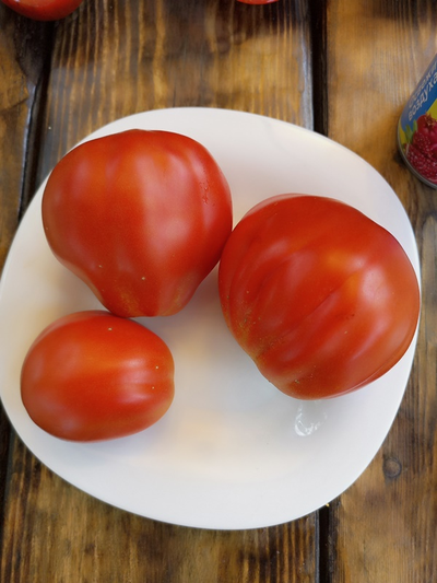 Томат Сердце Альбенги (Albenga), Италия